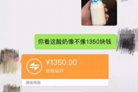 北辰遇到恶意拖欠？专业追讨公司帮您解决烦恼